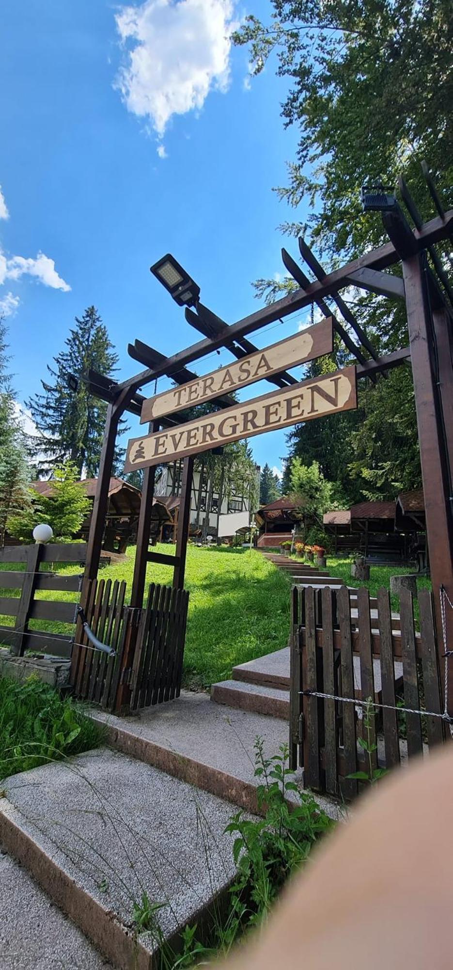 Vila Evergreen Predeal Exteriör bild
